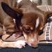 Larry Stroble - Facebook