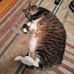 Larry Shrum - Facebook