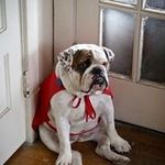 Larry Stull - @stulllarry - Instagram