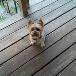 Susan Kash - @larry.sue.kash - Instagram