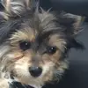 Larry  - @larrysutton1 - TikTok
