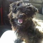 Larry Sweatman - @larry.sweatman.33 - Instagram