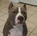 Larry Swiger - Facebook