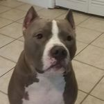 Larry Swiger - @larry.swiger.3 - Instagram