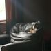 Larry Tarr - Facebook