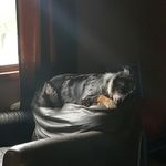 Larry Tarr - @larry.tarr.54 - Instagram