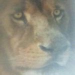 Larry Teasley - @teasleylarry - Instagram