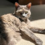Larry Teeter - @larry.teeter - Instagram