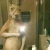 Larry Cedeño - @larry.599 - TikTok