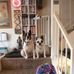 Larry Telford - Facebook