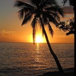 Larry Mantello - @larrymantello - Instagram