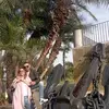 lorytempesta - @lorytempesta - TikTok