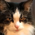 Larry Temple - @larrytemple4 - Instagram