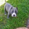 Larry Temple - @larry.temple16 - TikTok