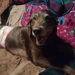 Larry Templin - @larry.templin.90 - Instagram