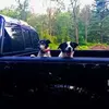 larrytemplin267 - @larrytemplin267 - TikTok