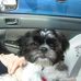 Larry Testerman - Facebook