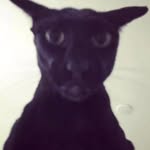 @larry - @larry_tewelve - Instagram