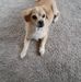 Larry Tew - Facebook