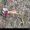 larrytewell299 - @larrytewell299 - TikTok