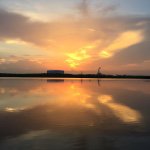 Larry Thacker - @dalejr1673 - Instagram