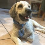 Floyd Roscoe Larry Theodore - @floydroscoe - Instagram
