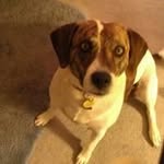 Larry Thomas - @thomas.larry - Instagram