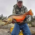 Larry Thomas - @larry6333 - Instagram