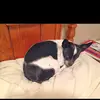 Larry Thrower - @larry.thrower - TikTok