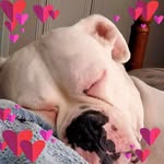 Larry R Timko - @larryrtimkojr - Instagram