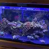 Larry Trimble - @larry.trimble2 - TikTok