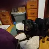 Larry Trueblood - @larry.trueblood5 - TikTok