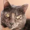 Larry Truett - @larry.truett - TikTok