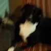 Lorrie Tschaenn - @lorrietschaenn - TikTok