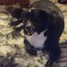 Lorrie Tschaenn - Facebook