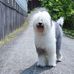 Larry Tseng - Facebook