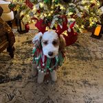Larry Huber - @larryahuber - Instagram