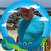 Larry Ullery - Facebook