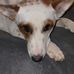 Larry Utterback Jr. - Facebook