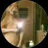 larryjoelvaca - @larryjoelvaca - TikTok