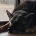 Larry Van Winkle - Facebook