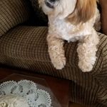 Larry Van Winkle - @dlarryvan - Instagram