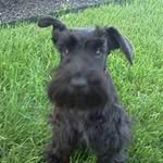 Larry Venable - @lgvenable - Instagram