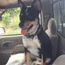 Larry Venable - Facebook