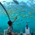 Larry Chua Ventura - @larryventura - Instagram