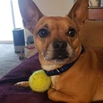 Larry Ventura - @larry_ventura2020 - Instagram