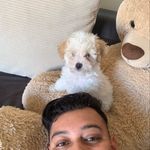 Larry Ventura - @_larryventura_ - Instagram