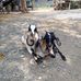 Larry Ventura - Facebook