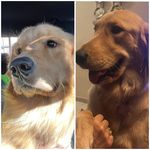Larry & Vera Golden - @larryveragolden - Instagram