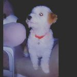 Larry Vera - @larrytovera12 - Instagram